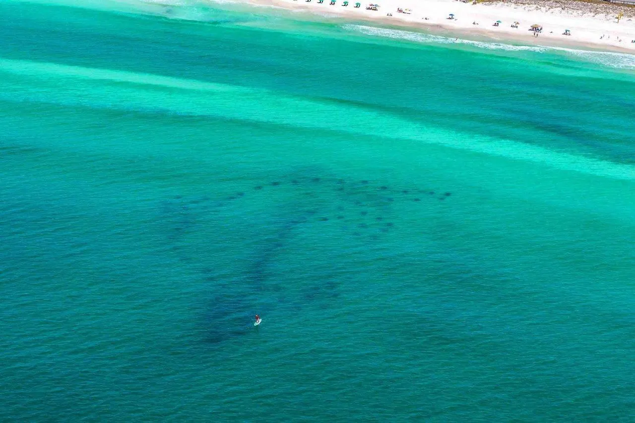 Semesterbostad Da Breeze Villa Destin USA